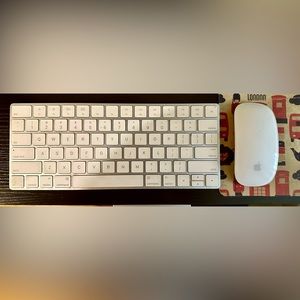 APPLE keyboard and mouse combo